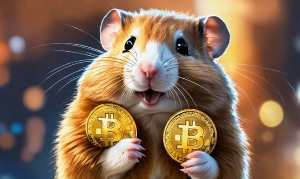 Сможет ли Hamster Kombat достичь успеха Notcoin в первый год после листинга?