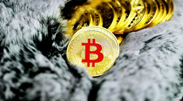 Ціна Bitcoin у 2025: що змінює її зараз і як це врахувати в прогнозі